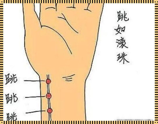 探究脉搏与怀孕之间的关系