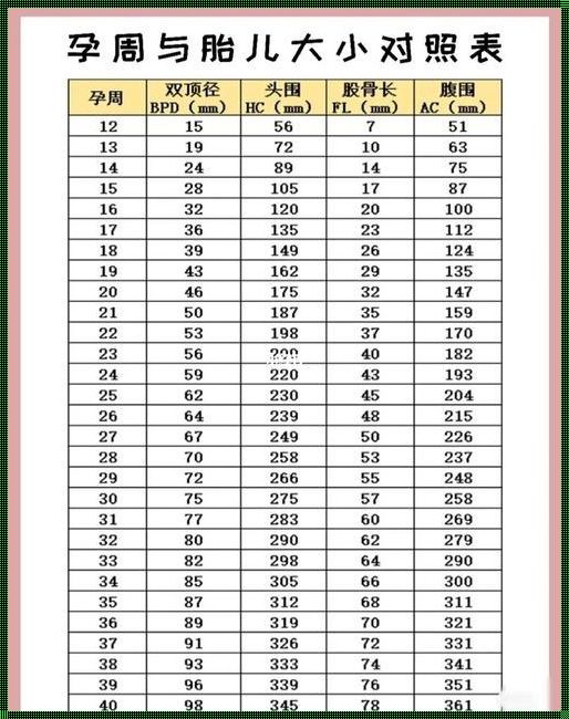 各孕周孩子出生概率：随时可能的奇迹与挑战