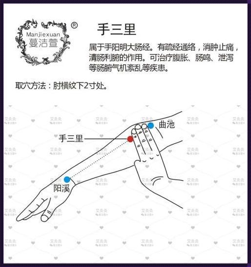 手三里的神奇功效：探寻古老医术中的瑰宝