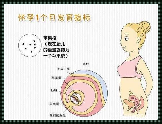 女人怀孕初期症状：分享那些不为人知的细节