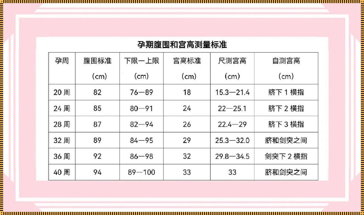 孕周与宫高腹围对照表：准妈妈的科学孕育指南