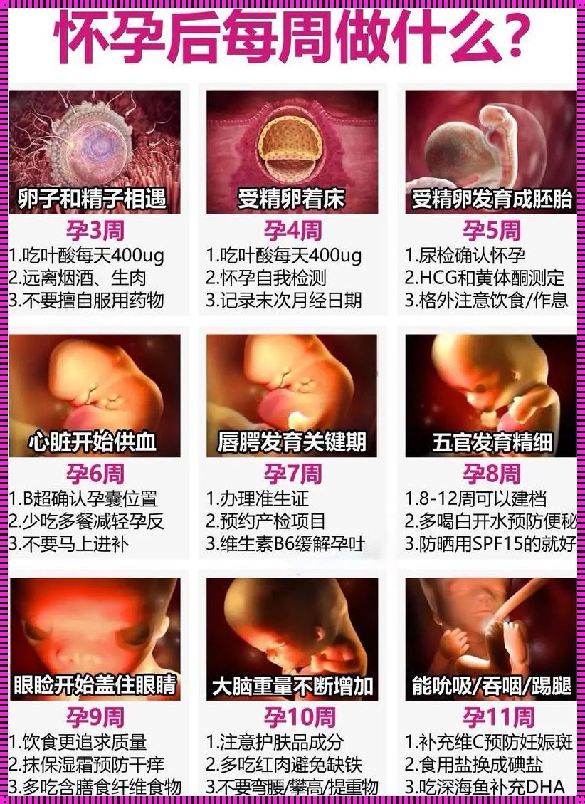 事后5天防止怀孕的方法：风云再起