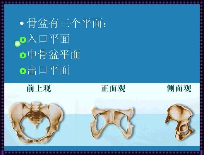 骨盆出口位和入口位示意图：极限挑战下的医学影像解读