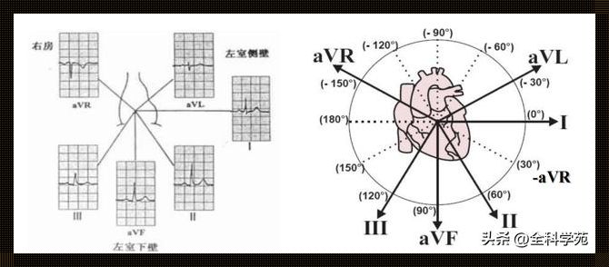 揭秘p电轴和T电轴：探索心脏电生理的奥秘