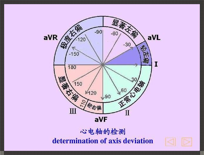 揭秘p电轴和T电轴：探索心脏电生理的奥秘