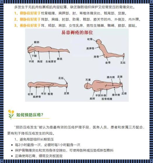 尿蛋白自愈方法：探寻身体自我修复的奥秘