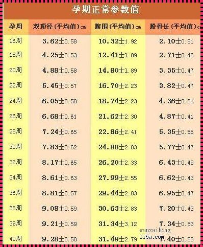 36周FL正常值对照表：掌握孕期胎儿生长的关键指标