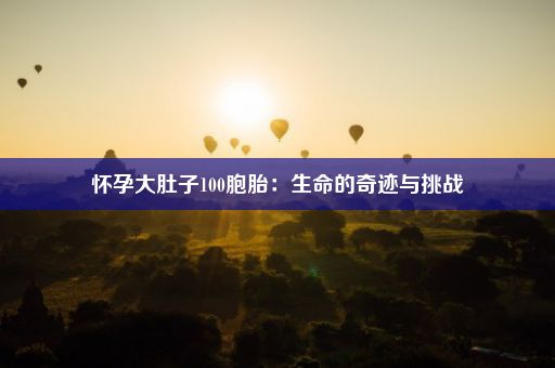 怀孕大肚子100胞胎：生命的奇迹与挑战