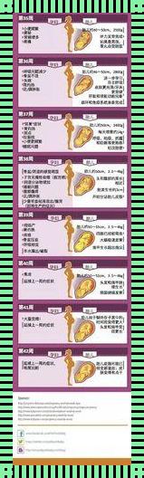 哺乳期怀孕的14个信号