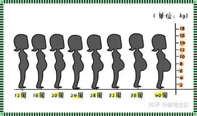 揭秘孕17周孕妇的身体变化：孕程中的微妙转变