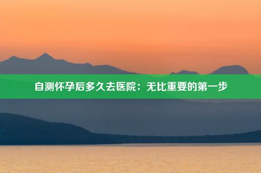 自测怀孕后多久去医院：无比重要的第一步