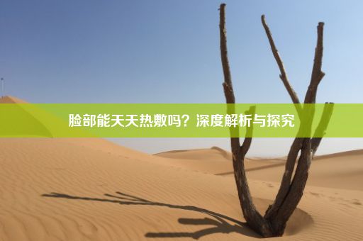 脸部能天天热敷吗？深度解析与探究