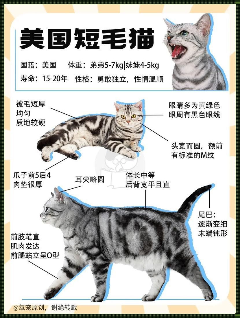 怎么判断猫有没有狂犬病：历史与现代诊断的交织