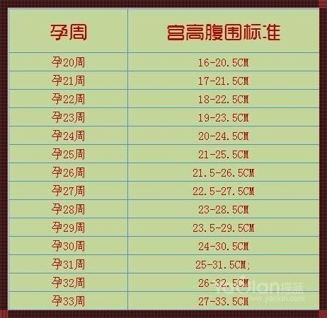 12周加1算孕中期吗