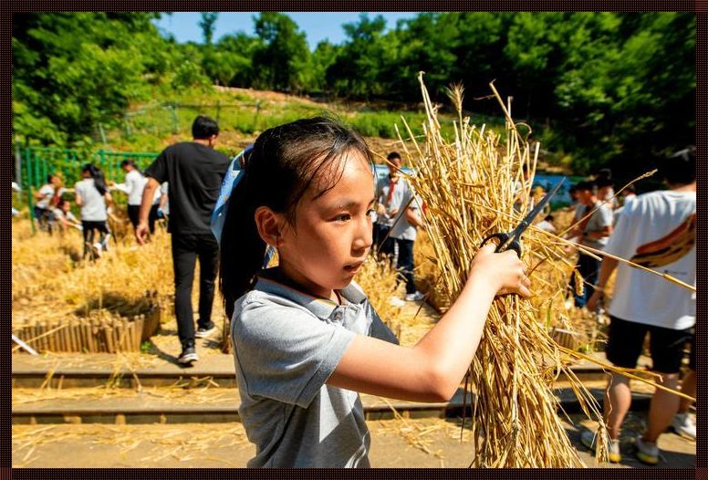 小孩戴麦子什么意思