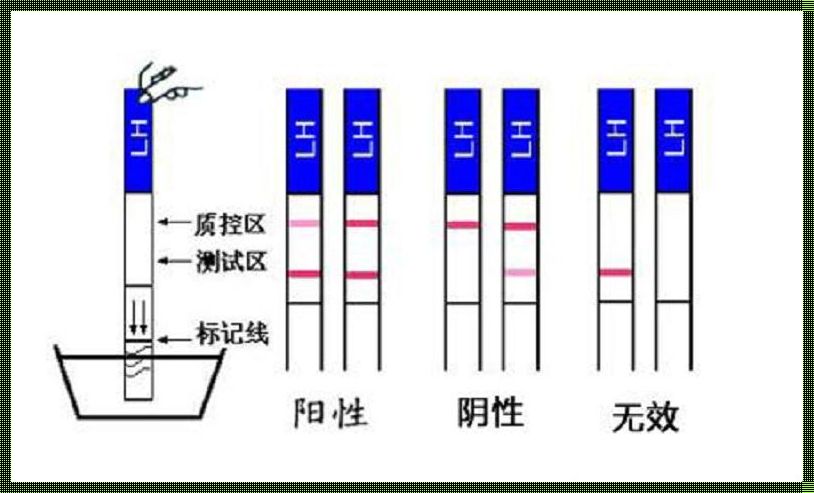 多少天就可以测出来怀孕了