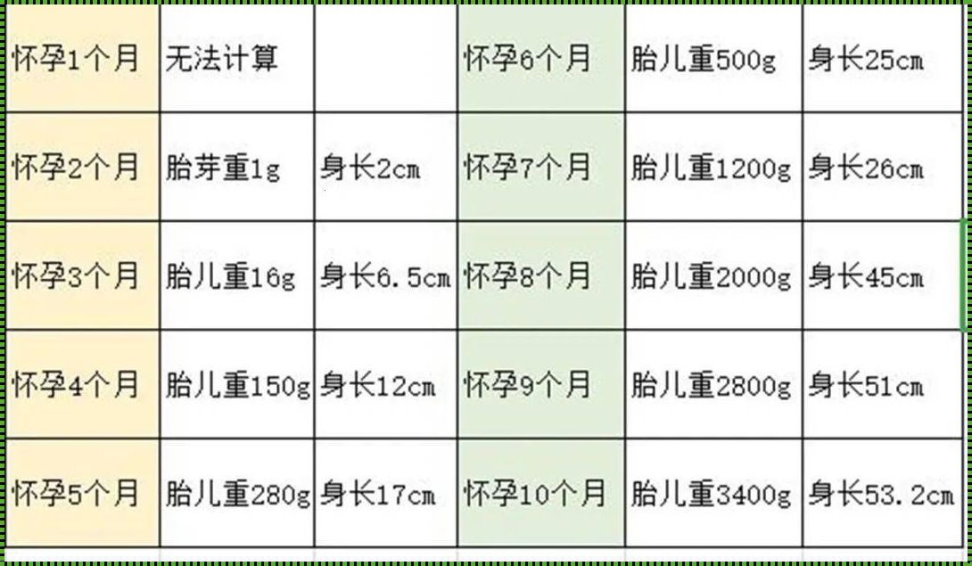 怎么算胎儿几斤：深入探究胎儿体重的奥秘