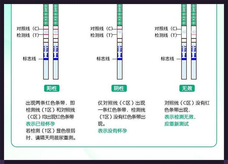 怎么测怀孕最快最准确：寻找平衡之道