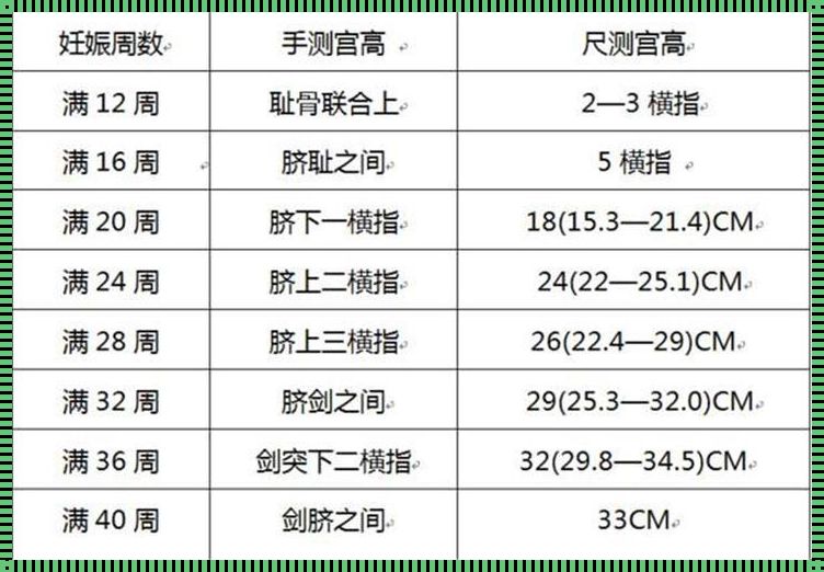 怎么判断孕周最准确：拨云见日，揭秘神秘腹中世界