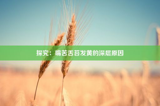 探究：嘴苦舌苔发黄的深层原因