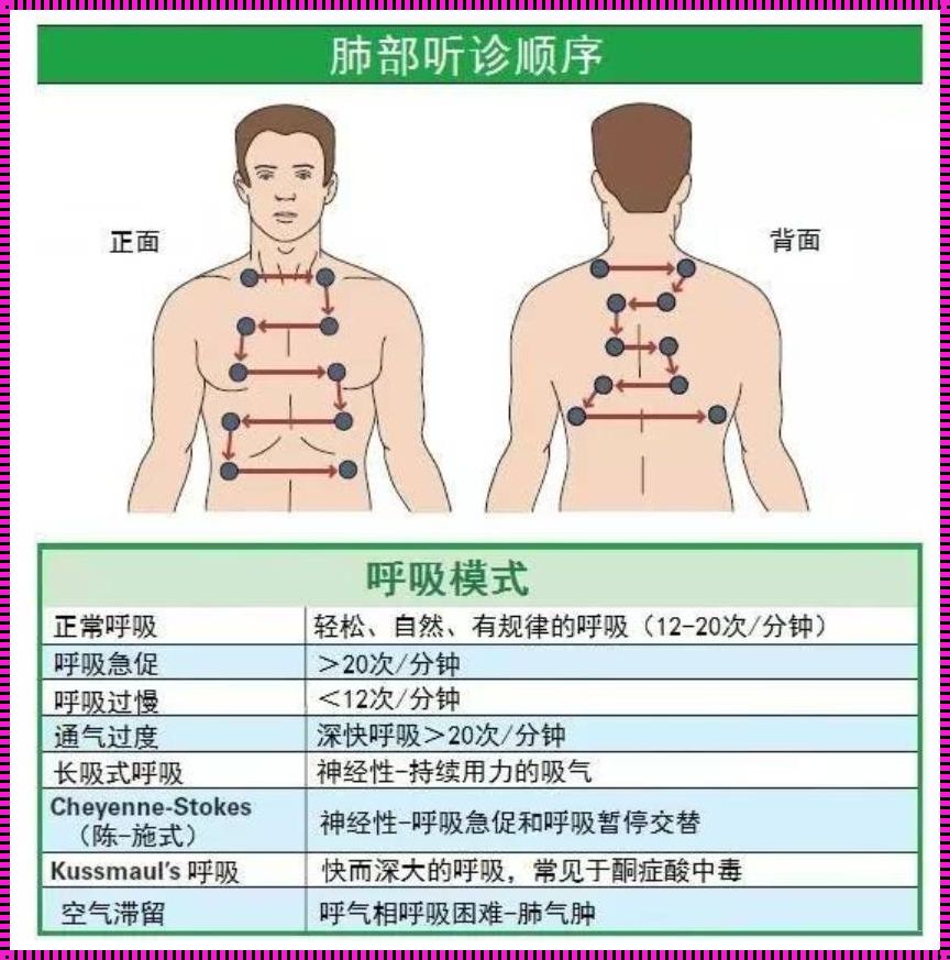 《肺部听诊六位置：探寻生命深处的音符》