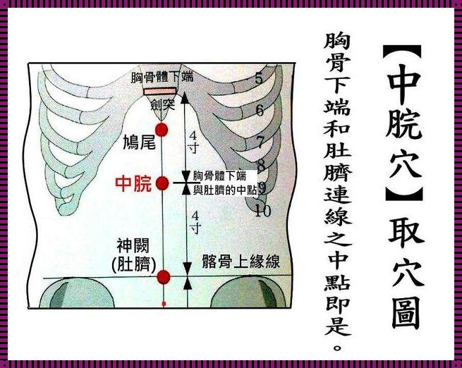 《中脘四寸：探寻身体奥秘的钥匙》