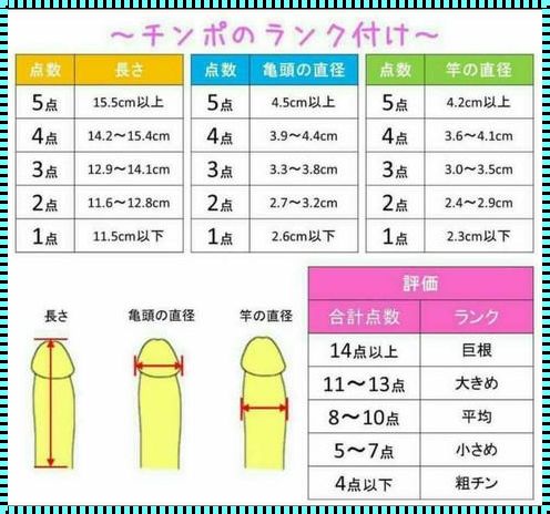 孕育生命：20cm的奇迹与自然法则