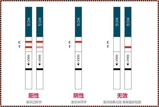 探索生命的奥秘：如何辨别怀孕的征兆