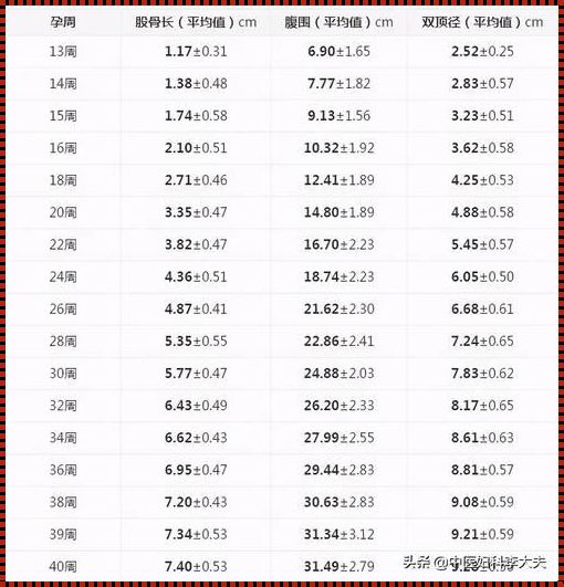 胎儿体重估算：科学与爱的结晶