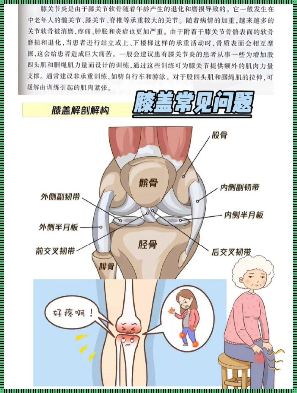 膝盖疼痛的奥秘：探索身体深处的信号