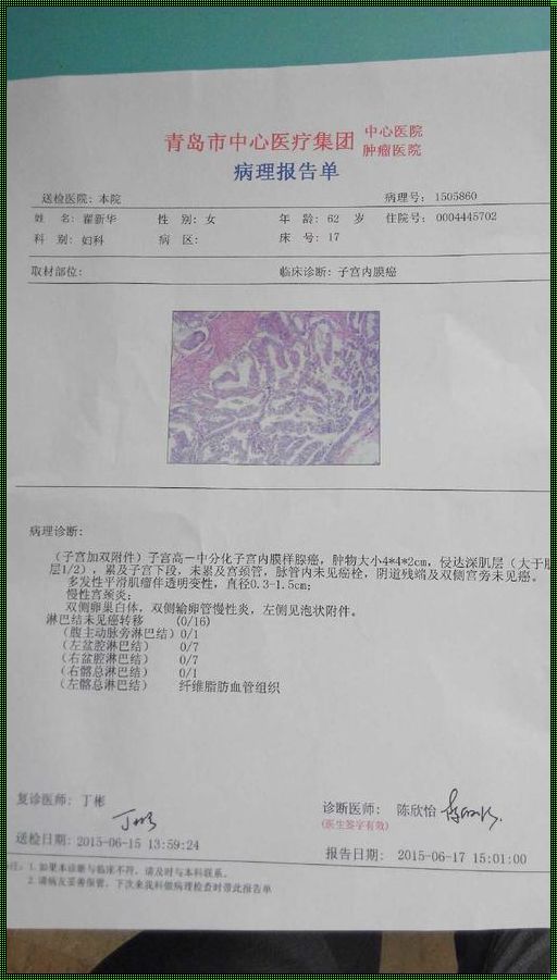 生命之花：我的子宫内膜癌抗争之旅