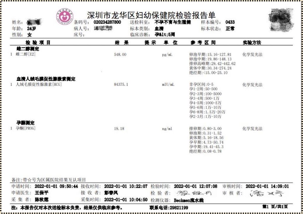 自制怀孕检查单：生命奇迹的守望者