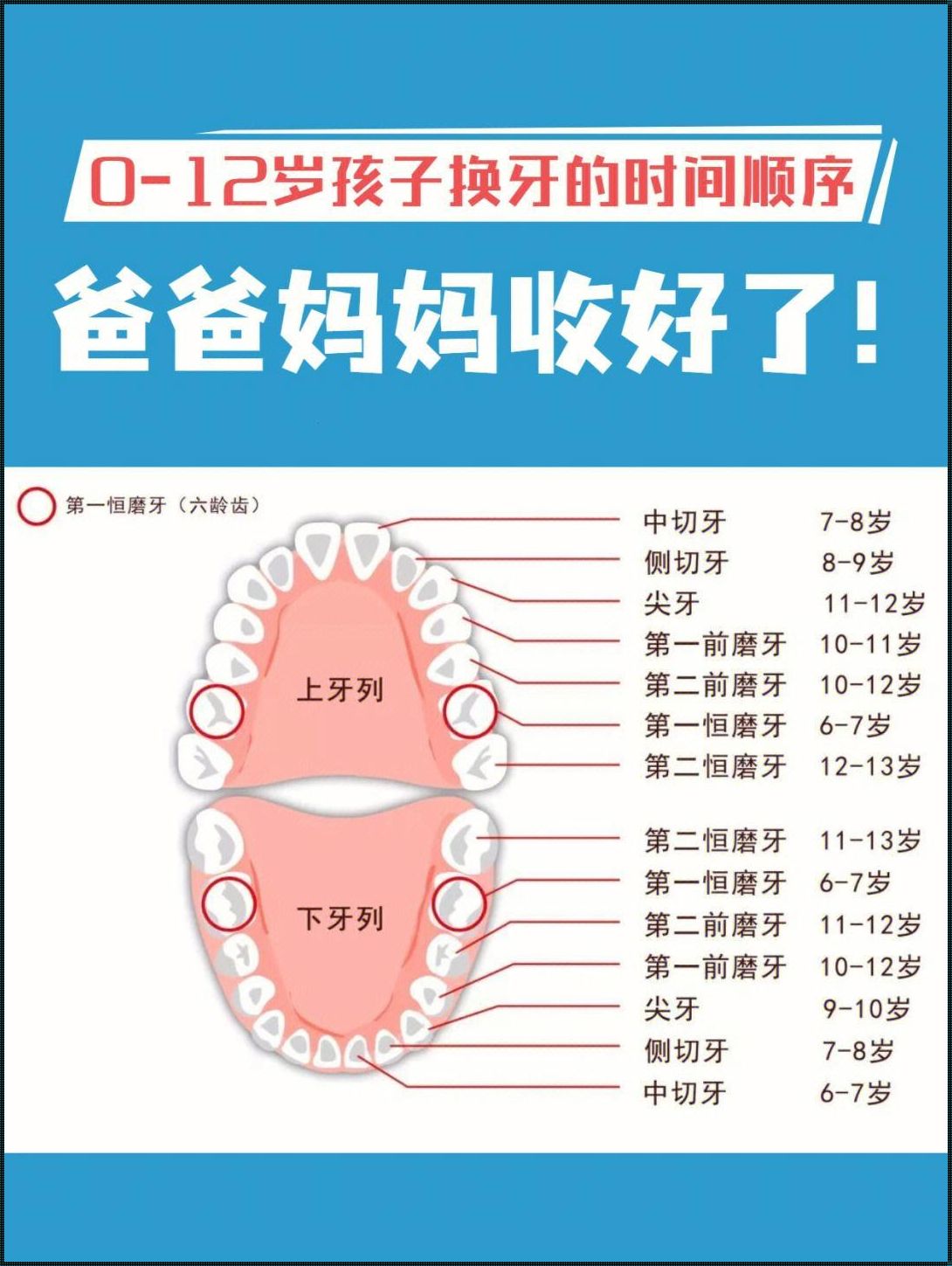 牙齿的蜕变：孩童换牙的奥秘与启示