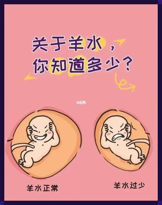 孕晚期一喝水宝宝就动：生命律动的奇妙交响曲