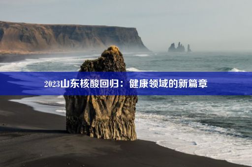 2023山东核酸回归：健康领域的新篇章