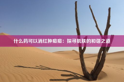 什么药可以消红肿痘痘：探寻肌肤的和谐之道