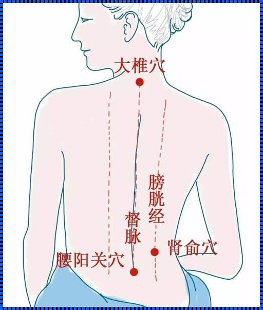 探秘人体经络之督脉：生命能量的轨迹