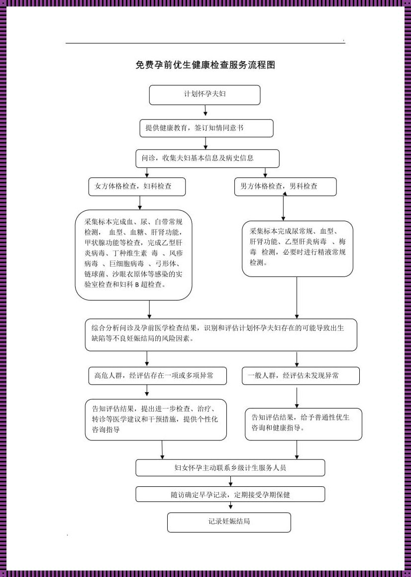 孕育新生：妇科检查与怀孕的旅程