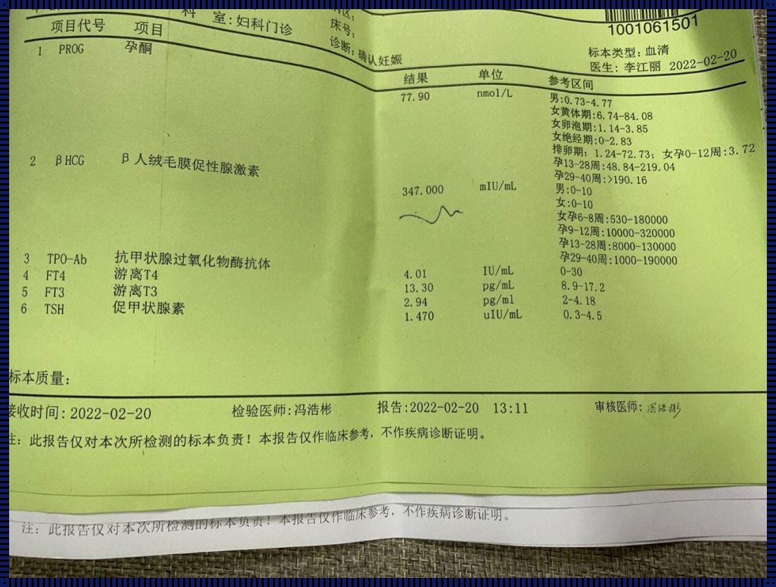 怀孕诊断：医学的温柔触摸