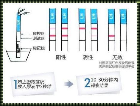 试纸多少天可以测出怀孕：生命之初的微妙信号