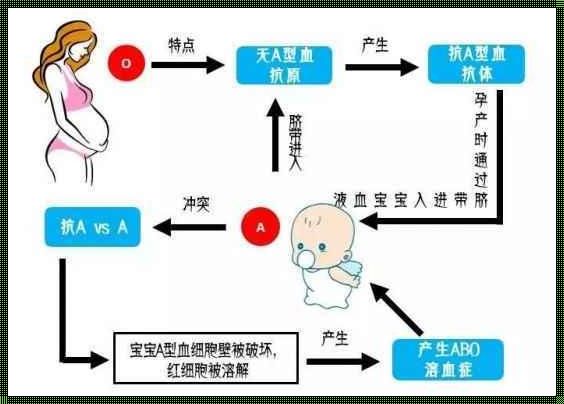 新生儿ABO溶血：生命的挑战与希望