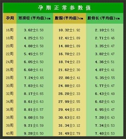 生命奇迹：11周双顶径与孕周的和谐律动