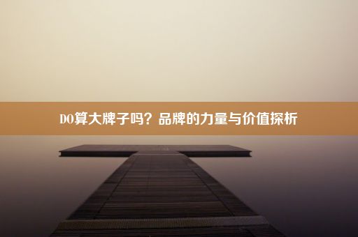 DO算大牌子吗？品牌的力量与价值探析