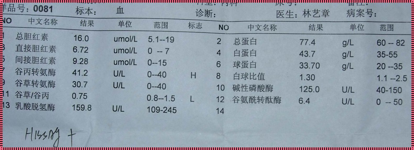 化验单解读：怀孕的科学之旅