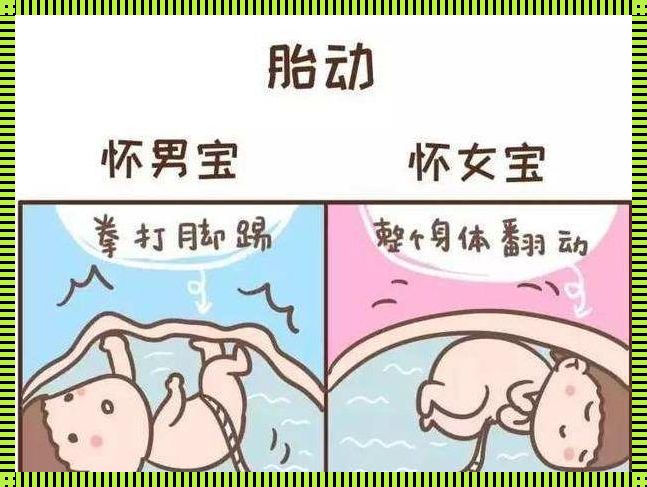 胎儿好动与性格的微妙联系