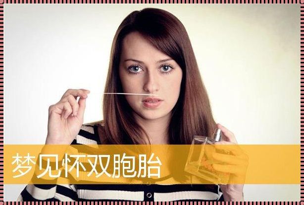 梦到怀孕生双胞胎：生命的奇迹与灵魂的共鸣