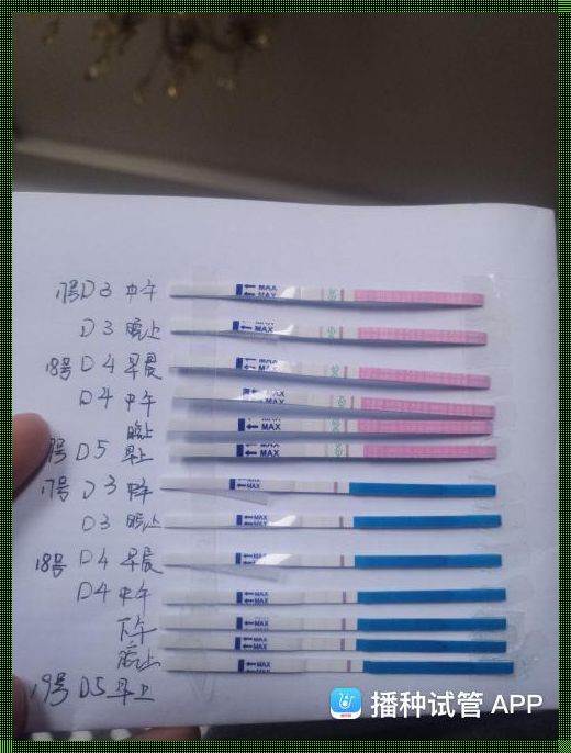 试管6天能测出怀孕吗：生命的奇迹与科学的探索