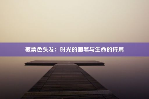 板栗色头发：时光的画笔与生命的诗篇