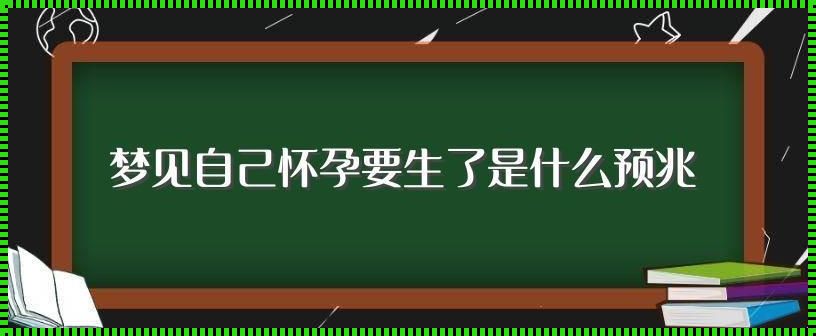 梦境中的孕育：在幻想与现实之间寻找生命的意义