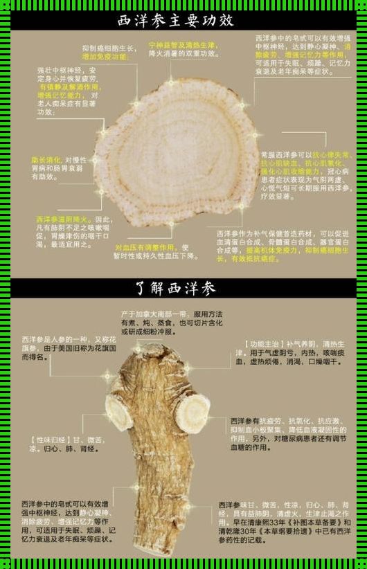 【繁衍生息之奥秘】锁阳：孕力的不竭源泉